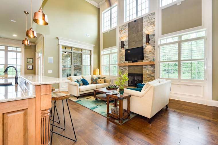 Living & Family Rooms